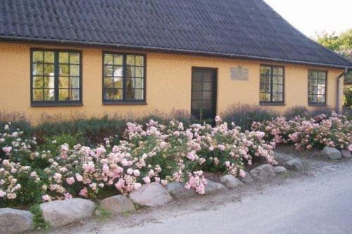 Dyrlev Bed & Breakfast Præstø Buitenkant foto