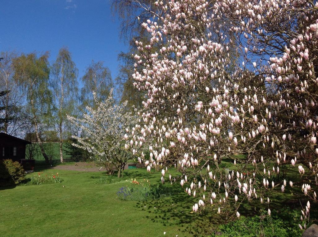 Dyrlev Bed & Breakfast Præstø Buitenkant foto