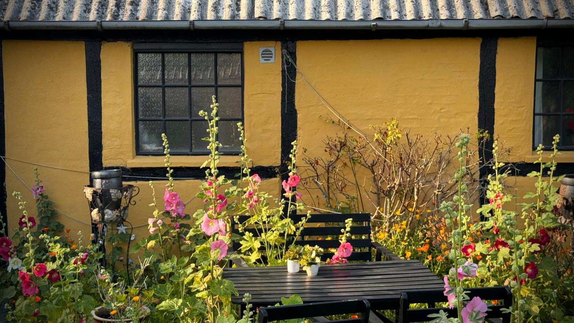 Dyrlev Bed & Breakfast Præstø Buitenkant foto